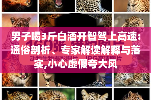男子喝3斤白酒開智駕上高速:通俗剖析、專家解讀解釋與落實(shí),小心虛假夸大風(fēng)