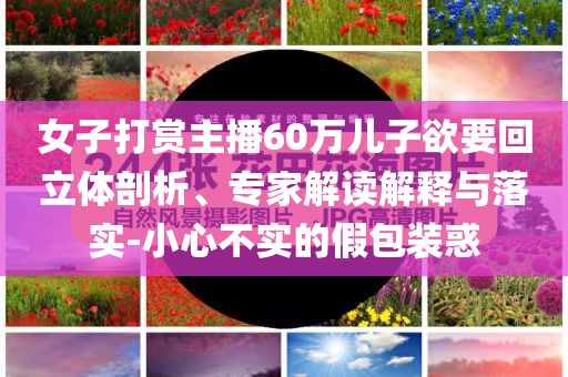 女子打賞主播60萬兒子欲要回立體剖析、專家解讀解釋與落實-小心不實的假包裝惑