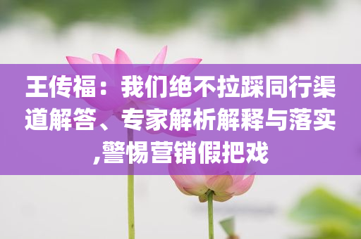 王傳福：我們絕不拉踩同行渠道解答、專(zhuān)家解析解釋與落實(shí),警惕營(yíng)銷(xiāo)假把戲