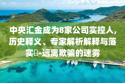 中央?yún)R金成為8家公司實(shí)控人,歷史釋義、專(zhuān)家解析解釋與落實(shí)?-遠(yuǎn)離欺騙的迷霧
