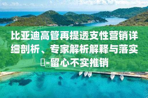 比亞迪高管再提透支性營銷詳細剖析、專家解析解釋與落實?-留心不實推銷