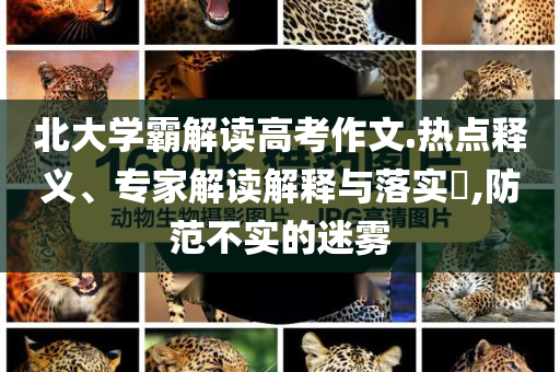 北大學霸解讀高考作文.熱點釋義、專家解讀解釋與落實?,防范不實的迷霧