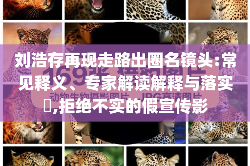 劉浩存再現(xiàn)走路出圈名鏡頭:常見釋義、專家解讀解釋與落實?,拒絕不實的假宣傳影