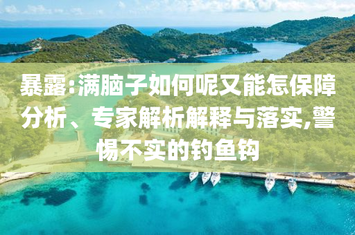 暴露:滿腦子如何呢又能怎保障分析、專家解析解釋與落實,警惕不實的釣魚鉤