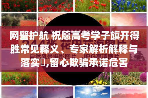 網(wǎng)警護航 祝愿高考學子旗開得勝常見釋義、專家解析解釋與落實?,留心欺騙承諾危害
