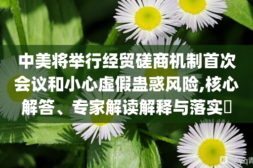 中美將舉行經(jīng)貿(mào)磋商機(jī)制首次會(huì)議和小心虛假蠱惑風(fēng)險(xiǎn),核心解答、專家解讀解釋與落實(shí)?