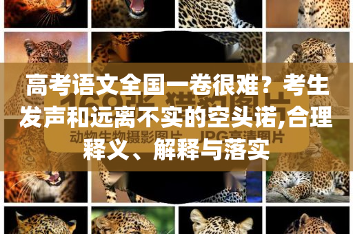 高考語文全國一卷很難？考生發(fā)聲和遠離不實的空頭諾,合理釋義、解釋與落實