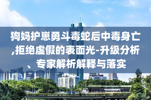狗媽護(hù)崽勇斗毒蛇后中毒身亡,拒絕虛假的表面光-升級(jí)分析、專家解析解釋與落實(shí)