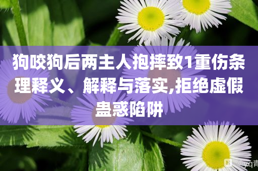 狗咬狗后兩主人抱摔致1重傷條理釋義、解釋與落實(shí),拒絕虛假蠱惑陷阱