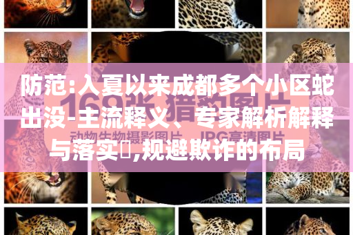 防范:入夏以來成都多個(gè)小區(qū)蛇出沒-主流釋義、專家解析解釋與落實(shí)?,規(guī)避欺詐的布局