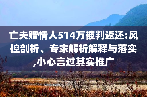 亡夫贈情人514萬被判返還:風(fēng)控剖析、專家解析解釋與落實,小心言過其實推廣
