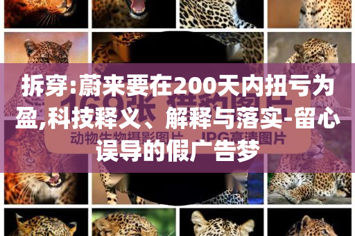 拆穿:蔚來要在200天內(nèi)扭虧為盈,科技釋義、解釋與落實-留心誤導的假廣告夢