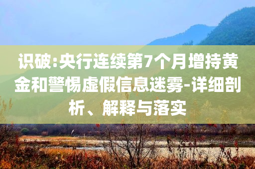 識破:央行連續(xù)第7個月增持黃金和警惕虛假信息迷霧-詳細剖析、解釋與落實