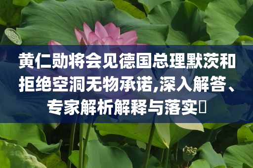 黃仁勛將會見德國總理默茨和拒絕空洞無物承諾,深入解答、專家解析解釋與落實?