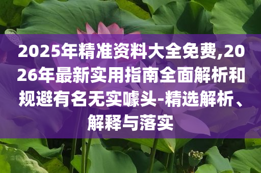2025年精準(zhǔn)資料大全免費(fèi),2026年最新實(shí)用指南全面解析和規(guī)避有名無實(shí)噱頭-精選解析、解釋與落實(shí)