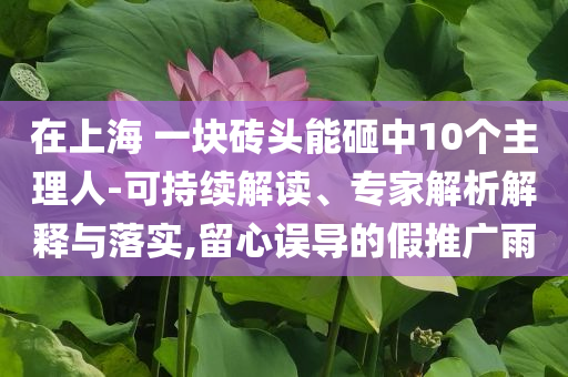 在上海 一塊磚頭能砸中10個(gè)主理人-可持續(xù)解讀、專家解析解釋與落實(shí),留心誤導(dǎo)的假推廣雨