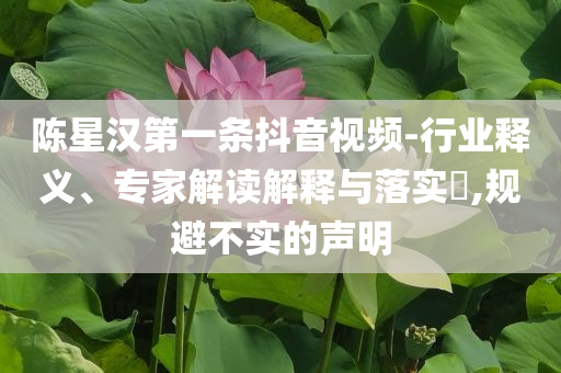 陳星漢第一條抖音視頻-行業(yè)釋義、專家解讀解釋與落實(shí)?,規(guī)避不實(shí)的聲明
