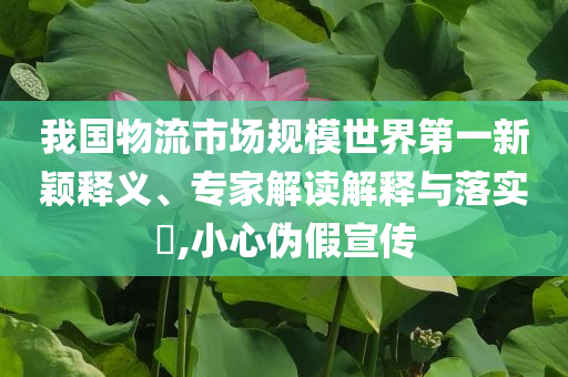 我國物流市場規(guī)模世界第一新穎釋義、專家解讀解釋與落實?,小心偽假宣傳