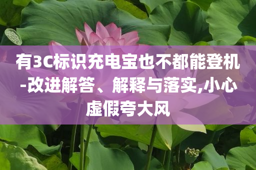 有3C標(biāo)識(shí)充電寶也不都能登機(jī)-改進(jìn)解答、解釋與落實(shí),小心虛假夸大風(fēng)