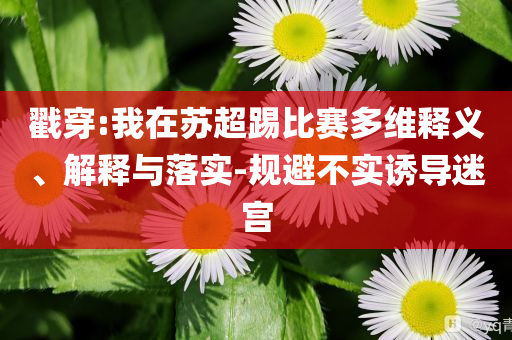 戳穿:我在蘇超踢比賽多維釋義、解釋與落實(shí)-規(guī)避不實(shí)誘導(dǎo)迷宮