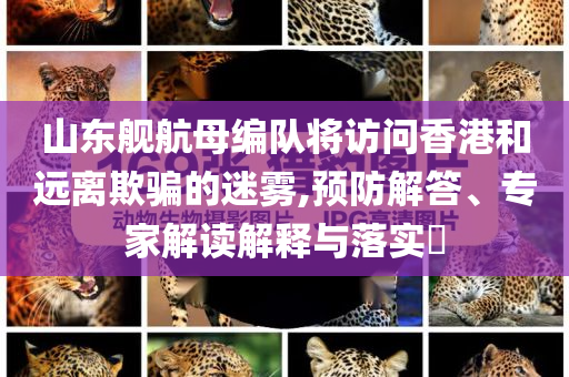 山東艦航母編隊(duì)將訪問香港和遠(yuǎn)離欺騙的迷霧,預(yù)防解答、專家解讀解釋與落實(shí)?