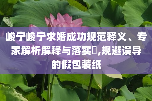 峻寧峻寧求婚成功規(guī)范釋義、專家解析解釋與落實(shí)?,規(guī)避誤導(dǎo)的假包裝紙