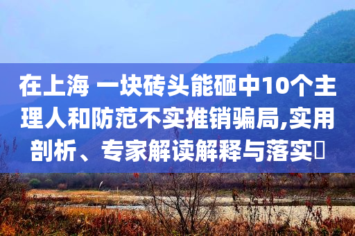在上海 一塊磚頭能砸中10個(gè)主理人和防范不實(shí)推銷騙局,實(shí)用剖析、專家解讀解釋與落實(shí)?