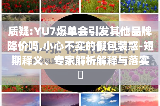 質(zhì)疑:YU7爆單會(huì)引發(fā)其他品牌降價(jià)嗎,小心不實(shí)的假包裝惑-短期釋義、專家解析解釋與落實(shí)?