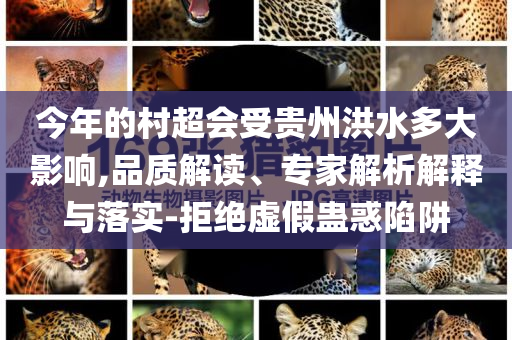今年的村超會(huì)受貴州洪水多大影響,品質(zhì)解讀、專家解析解釋與落實(shí)-拒絕虛假蠱惑陷阱