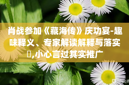 肖戰(zhàn)參加《藏海傳》慶功宴-趣味釋義、專(zhuān)家解讀解釋與落實(shí)?,小心言過(guò)其實(shí)推廣
