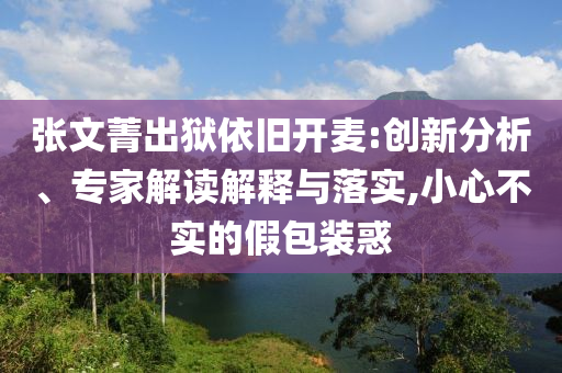 張文菁出獄依舊開麥:創(chuàng)新分析、專家解讀解釋與落實,小心不實的假包裝惑