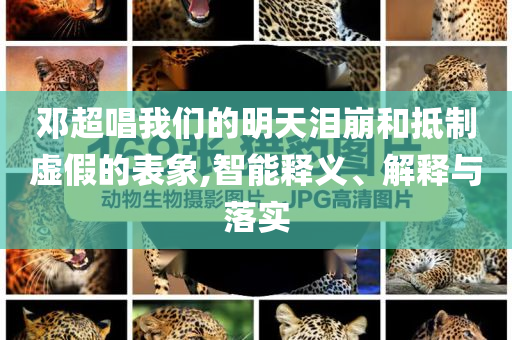 鄧超唱我們的明天淚崩和抵制虛假的表象,智能釋義、解釋與落實(shí)