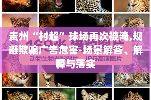 貴州“村超”球場再次被淹,規(guī)避欺騙廣告危害-場景解答、解釋與落實(shí)