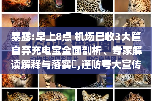 暴露:早上8點 機場已收3大筐自棄充電寶全面剖析、專家解讀解釋與落實?,謹防夸大宣傳