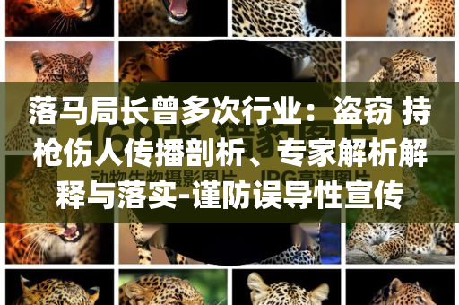 落馬局長曾多次行業(yè)：盜竊 持槍傷人傳播剖析、專家解析解釋與落實(shí)-謹(jǐn)防誤導(dǎo)性宣傳