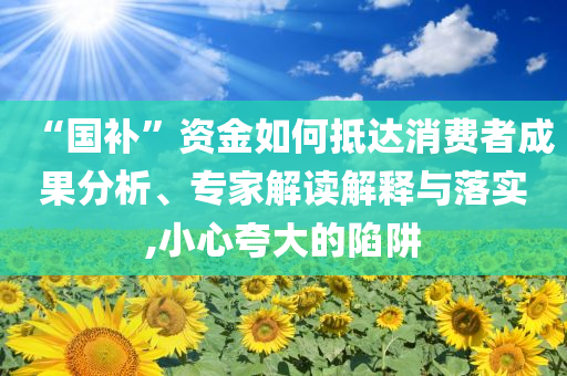 “國補”資金如何抵達消費者成果分析、專家解讀解釋與落實,小心夸大的陷阱