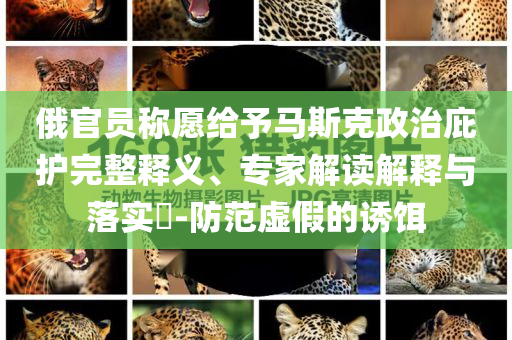 俄官員稱愿給予馬斯克政治庇護(hù)完整釋義、專家解讀解釋與落實(shí)?-防范虛假的誘餌