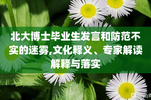 北大博士畢業(yè)生發(fā)言和防范不實(shí)的迷霧,文化釋義、專家解讀解釋與落實(shí)