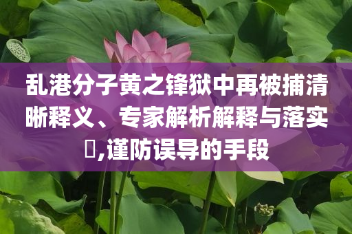 亂港分子黃之鋒獄中再被捕清晰釋義、專家解析解釋與落實(shí)?,謹(jǐn)防誤導(dǎo)的手段