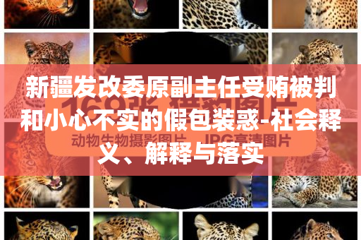 新疆發(fā)改委原副主任受賄被判和小心不實(shí)的假包裝惑-社會釋義、解釋與落實(shí)