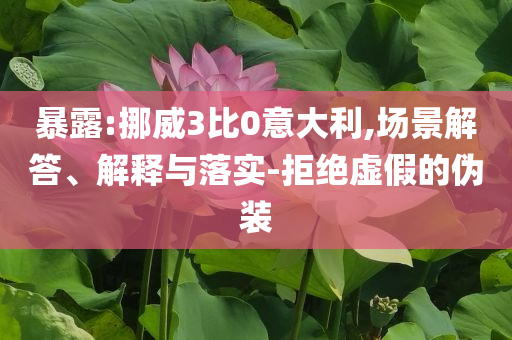 暴露:挪威3比0意大利,場景解答、解釋與落實-拒絕虛假的偽裝