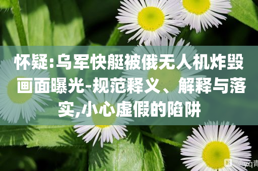 懷疑:烏軍快艇被俄無人機(jī)炸毀 畫面曝光-規(guī)范釋義、解釋與落實,小心虛假的陷阱