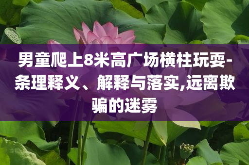 男童爬上8米高廣場橫柱玩耍-條理釋義、解釋與落實,遠(yuǎn)離欺騙的迷霧