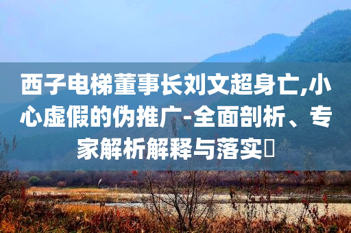 西子電梯董事長劉文超身亡,小心虛假的偽推廣-全面剖析、專家解析解釋與落實?