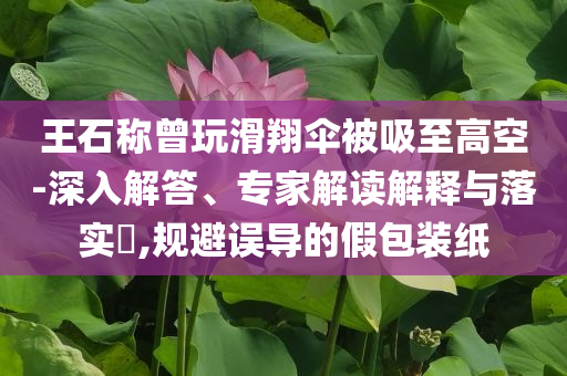 王石稱曾玩滑翔傘被吸至高空-深入解答、專家解讀解釋與落實(shí)?,規(guī)避誤導(dǎo)的假包裝紙
