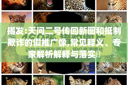 揭發(fā):天問二號(hào)傳回新圖和抵制欺詐的假推廣像,常見釋義、專家解析解釋與落實(shí)?