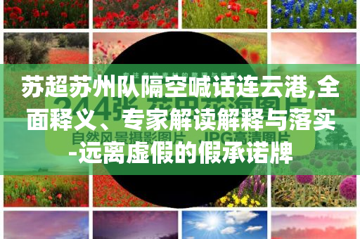蘇超蘇州隊(duì)隔空喊話連云港,全面釋義、專家解讀解釋與落實(shí)-遠(yuǎn)離虛假的假承諾牌