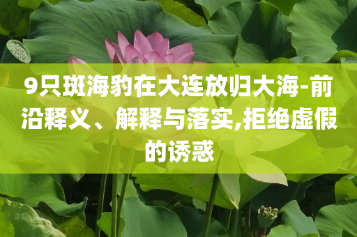 9只斑海豹在大連放歸大海-前沿釋義、解釋與落實(shí),拒絕虛假的誘惑