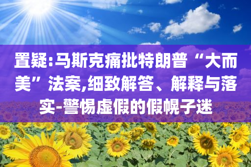 置疑:馬斯克痛批特朗普“大而美”法案,細(xì)致解答、解釋與落實(shí)-警惕虛假的假幌子迷