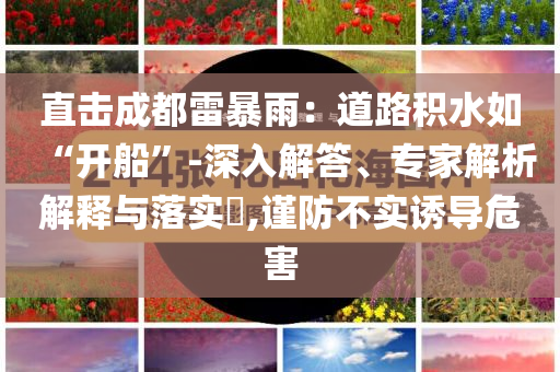 直擊成都雷暴雨：道路積水如“開船”-深入解答、專家解析解釋與落實?,謹(jǐn)防不實誘導(dǎo)危害